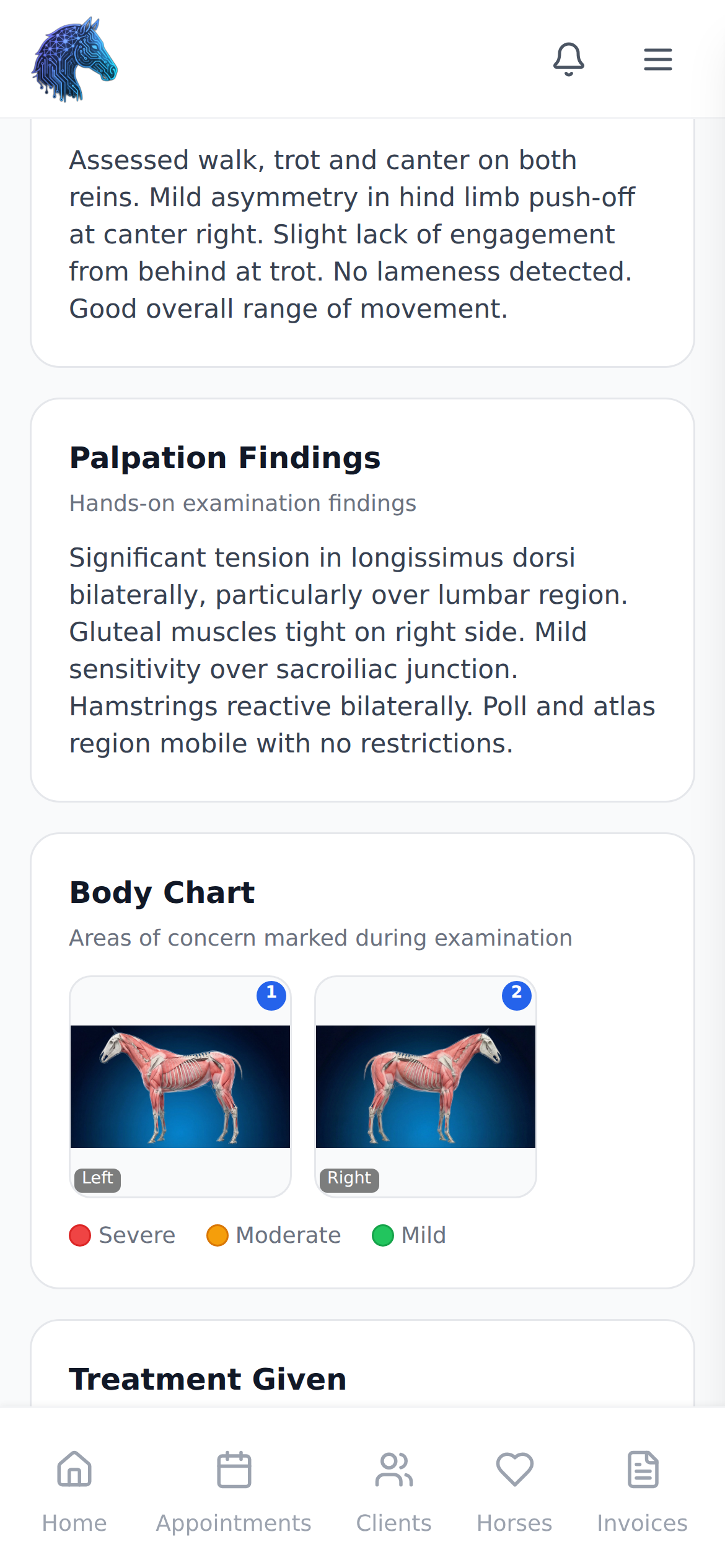 Equine body chart and clinical notes screen